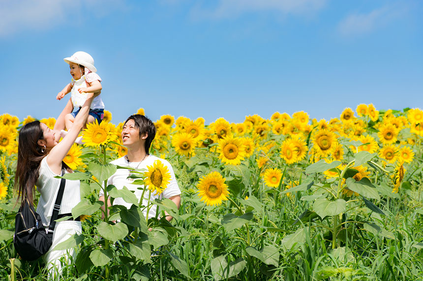 宮城県のおすすめベビーシッター