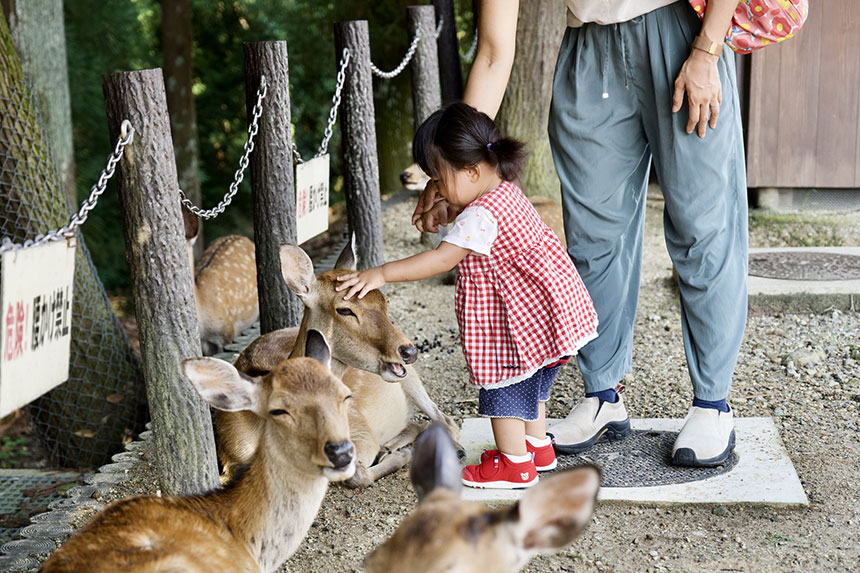 奈良県のおすすめベビーシッター